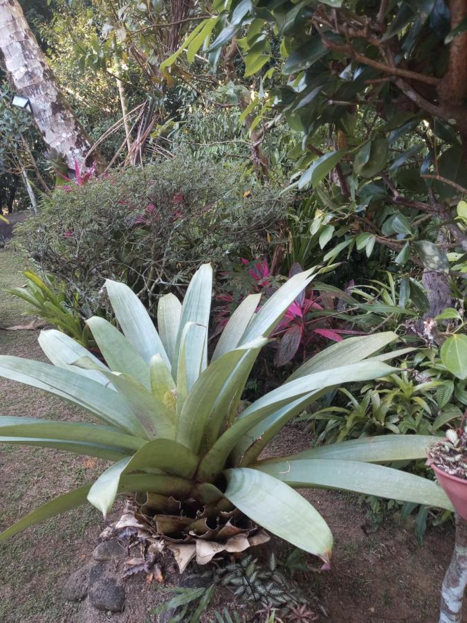 賓館 Cachoeira *
