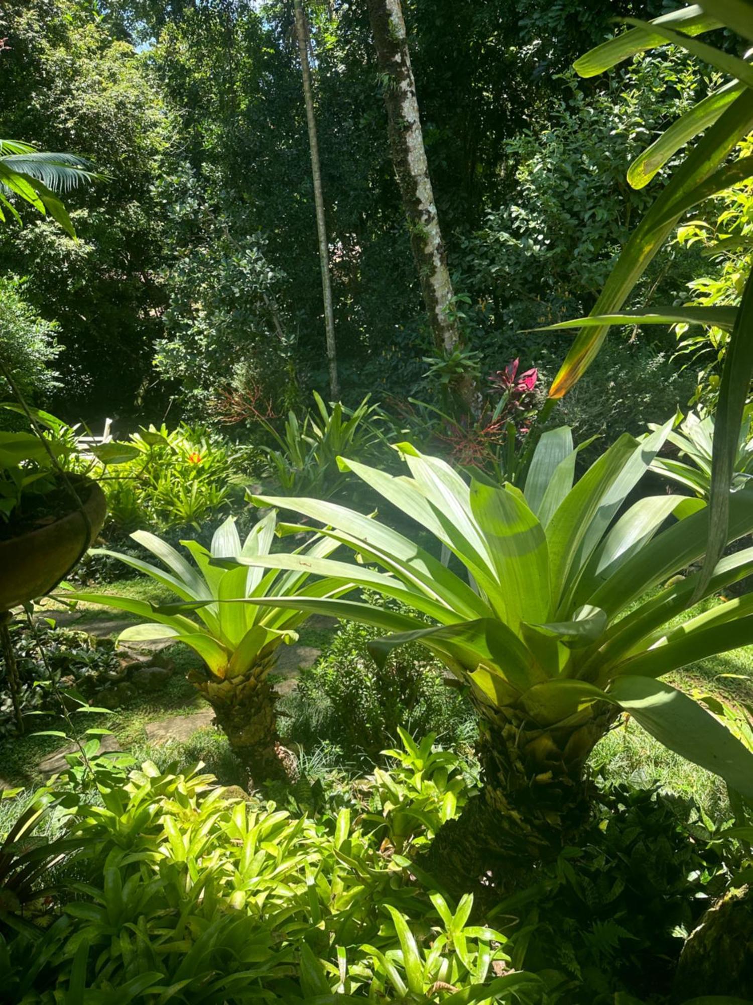 Cachoeira Inn Abraão
